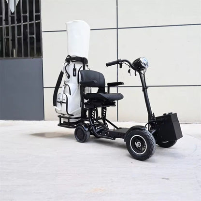 GOOTER electric golf cart with seat, outdoors