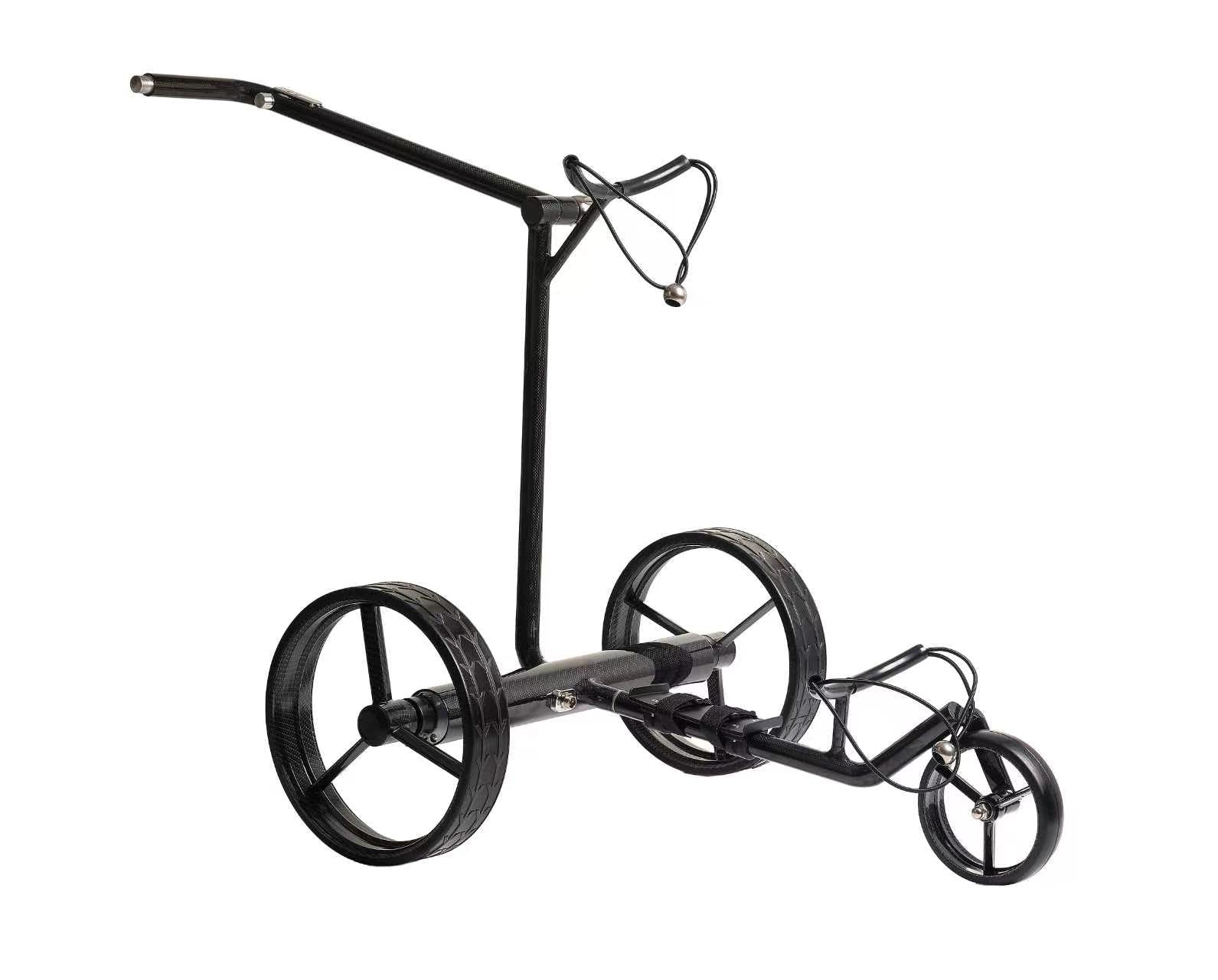 GOOTER E-CadLight Carbon-Remote hinten links