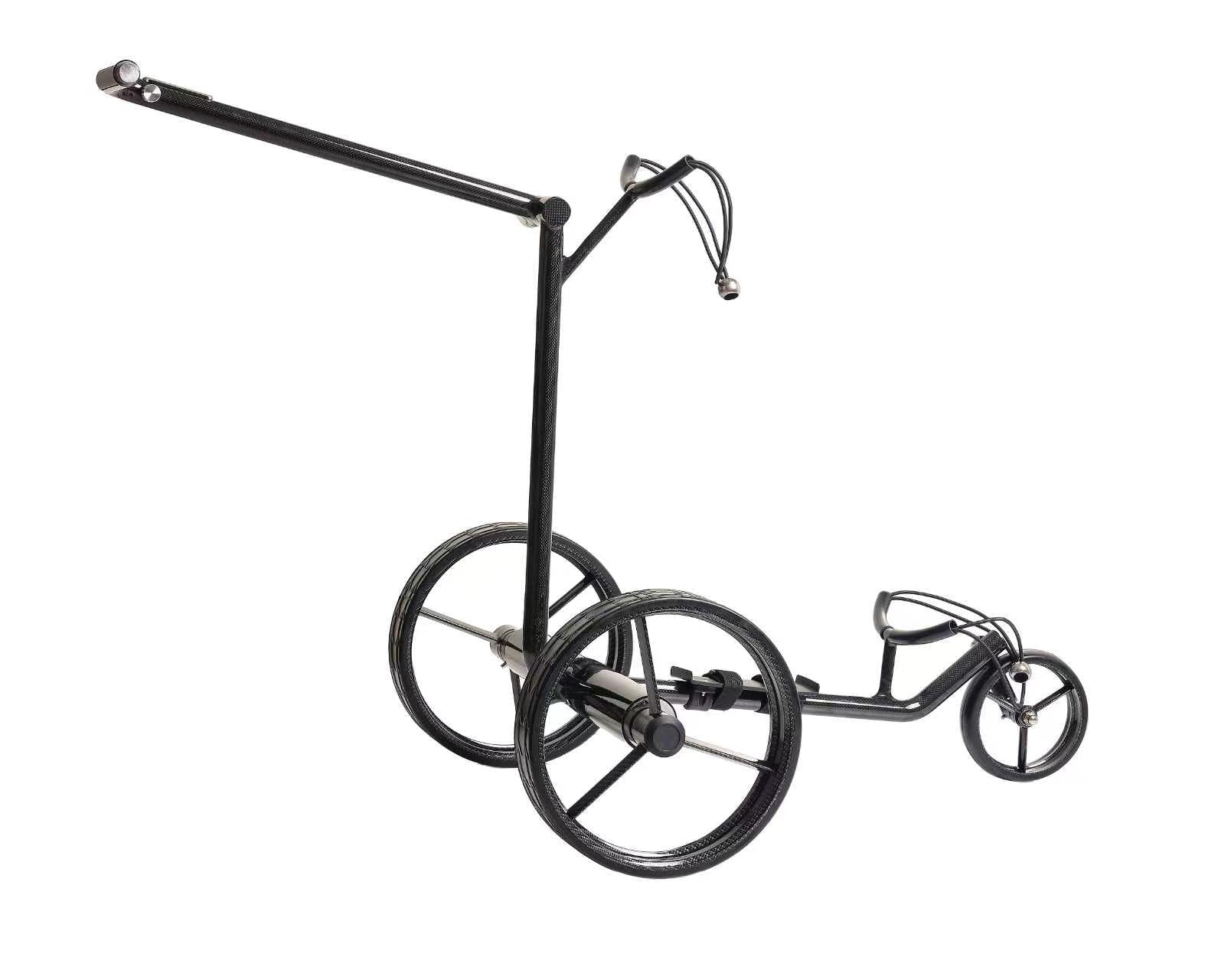 GOOTER E-CadLight Carbon-Remote seitlich