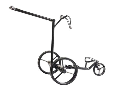 GOOTER E-CadLight Carbon-Remote seitlich