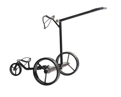 GOOTER E-CadLight Carbon-Remote vorne links