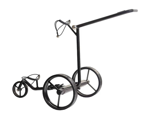 GOOTER E-CadLight Carbon-Remote vorne links